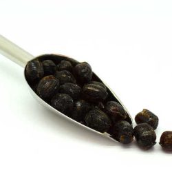 Horehound Rock